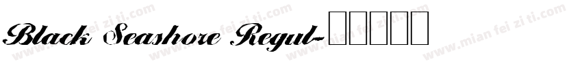 Black Seashore Regul字体转换